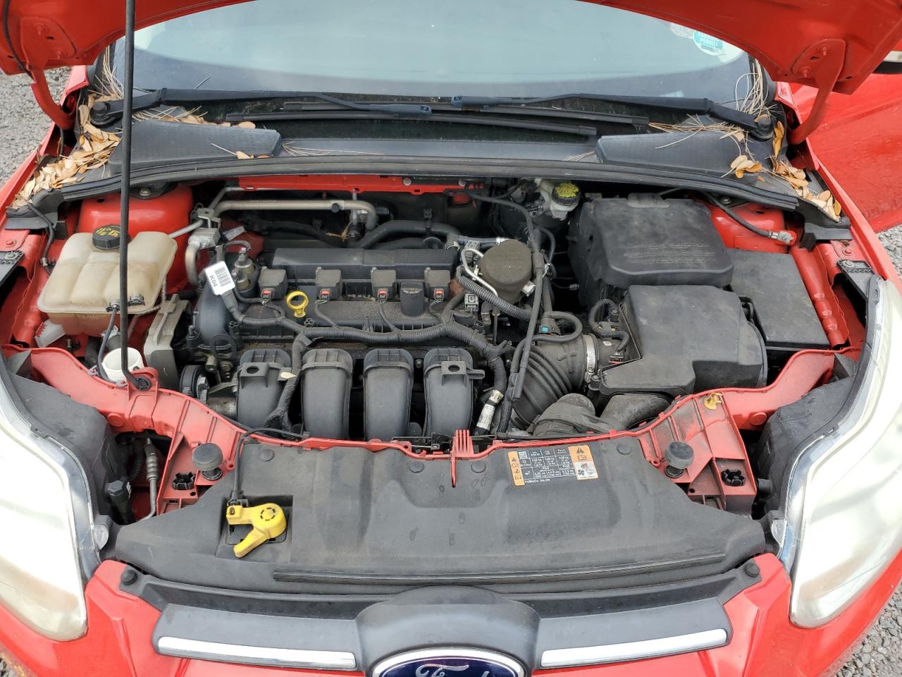 Photo 10 VIN: 1FADP3F28EL455438 - FORD FOCUS 