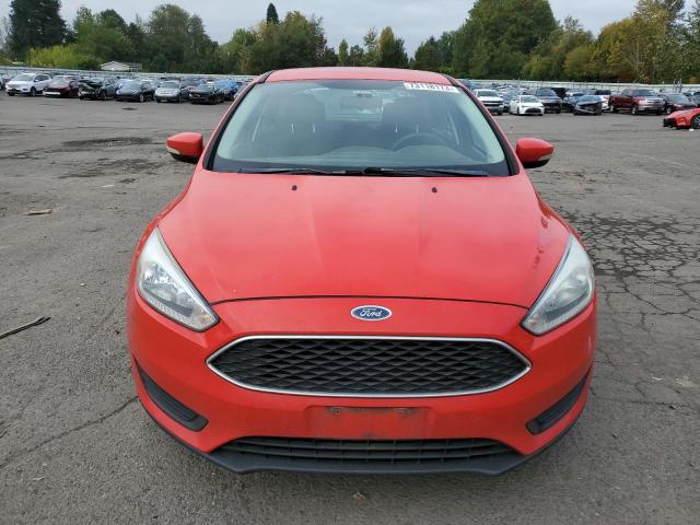 Photo 4 VIN: 1FADP3F28FL243074 - FORD FOCUS SE 