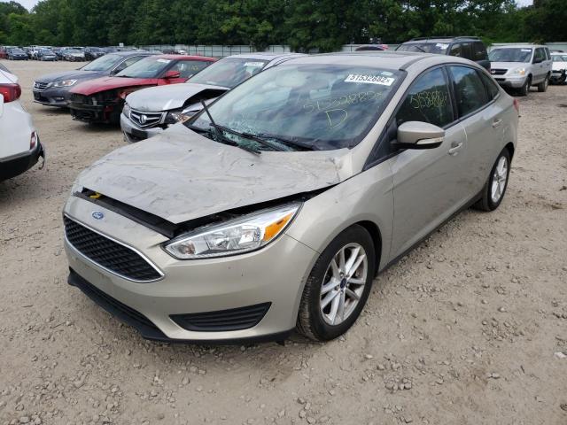 Photo 1 VIN: 1FADP3F28FL317111 - FORD FOCUS SE 