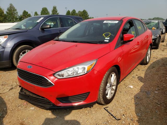 Photo 1 VIN: 1FADP3F28FL329226 - FORD FOCUS SE 