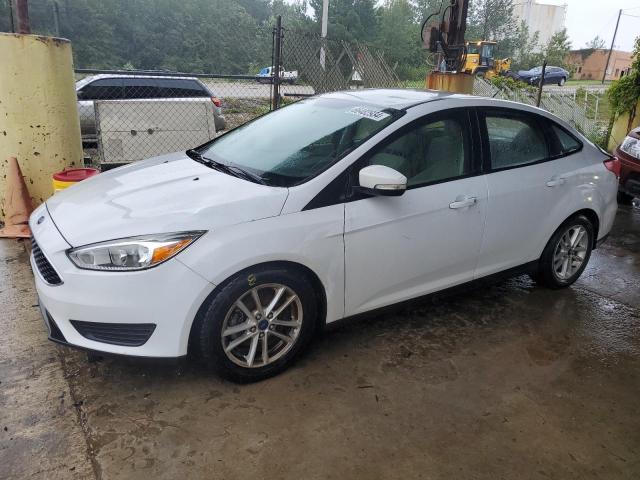 Photo 0 VIN: 1FADP3F28GL201103 - FORD FOCUS SE 