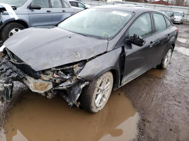 Photo 8 VIN: 1FADP3F28GL207967 - FORD FOCUS SE 