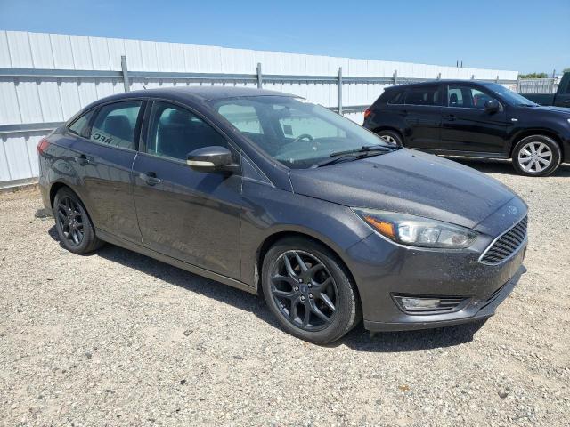 Photo 3 VIN: 1FADP3F28GL286301 - FORD FOCUS SE 