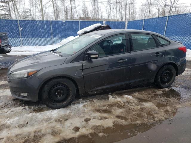 Photo 0 VIN: 1FADP3F28GL287206 - FORD FOCUS SE 