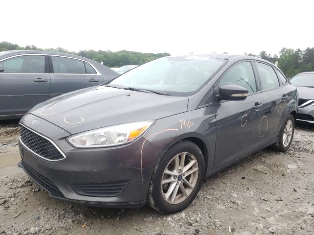 Photo 1 VIN: 1FADP3F28GL391193 - FORD FOCUS SE 