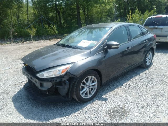 Photo 1 VIN: 1FADP3F28HL305592 - FORD FOCUS 