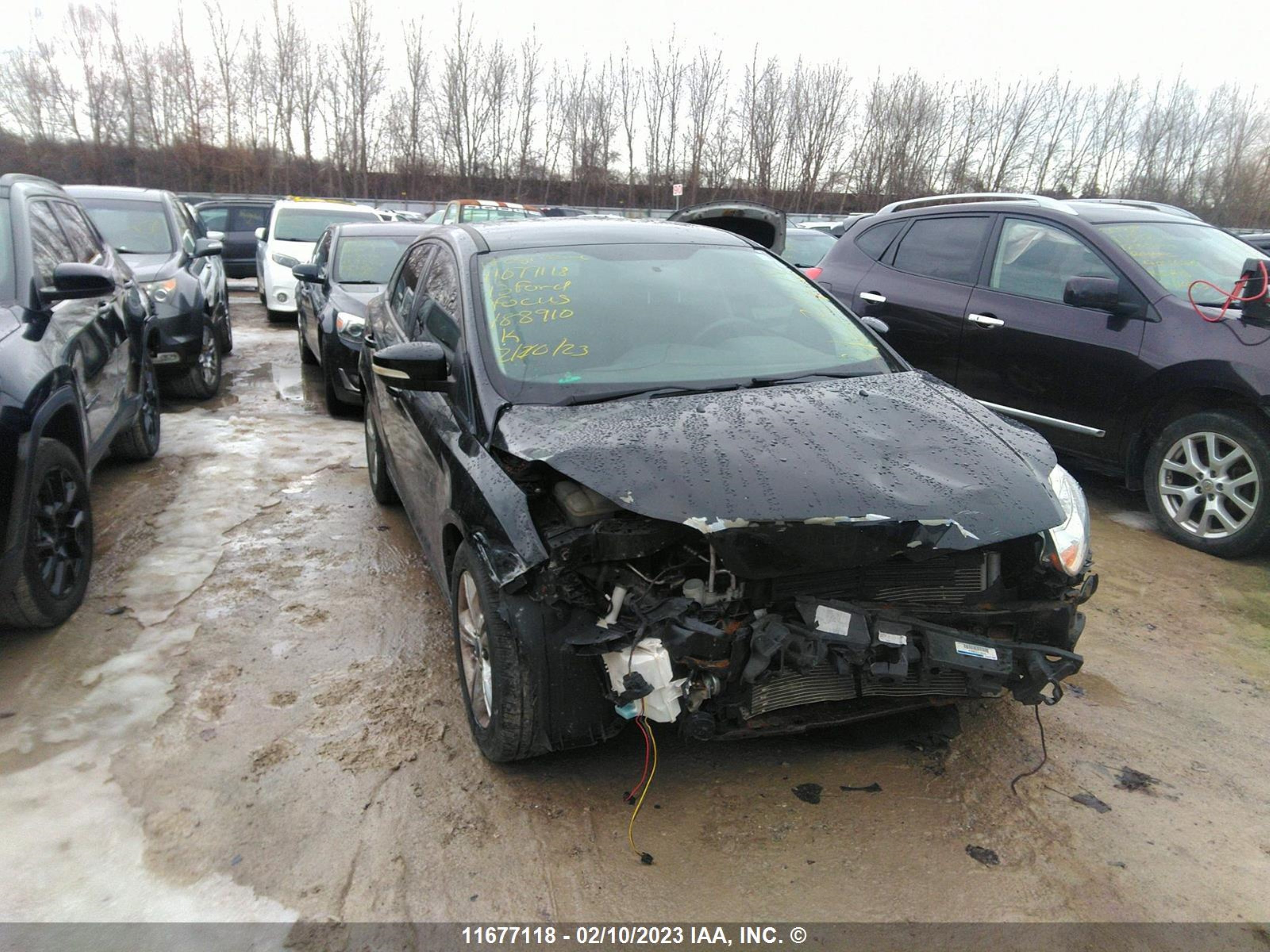 Photo 0 VIN: 1FADP3F29DL188910 - FORD FOCUS 