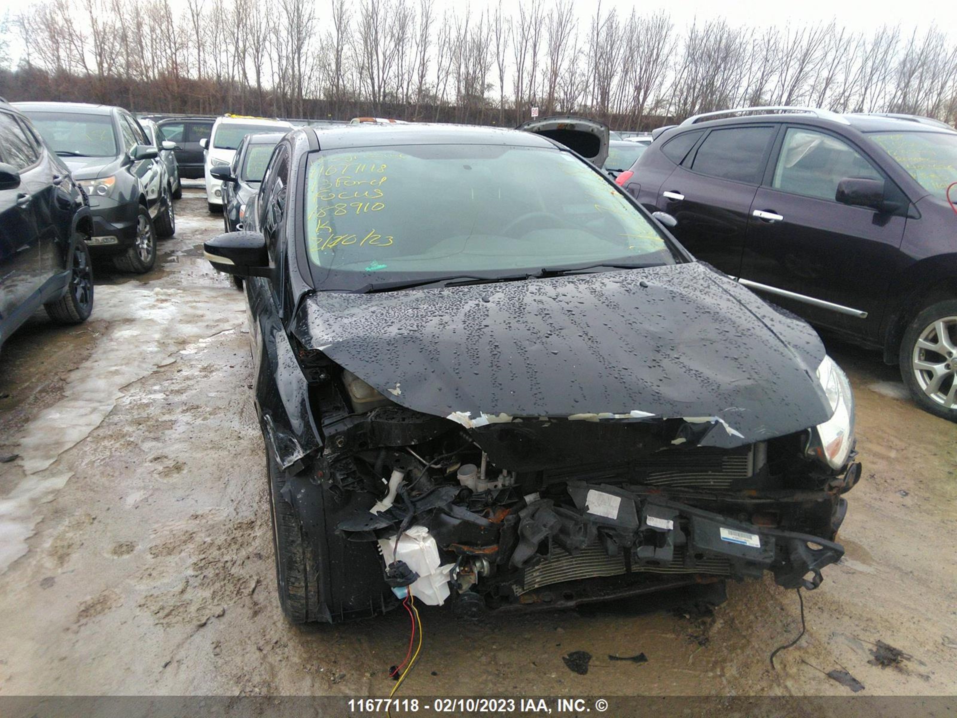 Photo 5 VIN: 1FADP3F29DL188910 - FORD FOCUS 