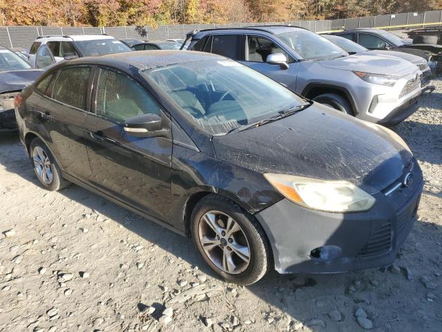 Photo 3 VIN: 1FADP3F29DL231609 - FORD FOCUS SE 