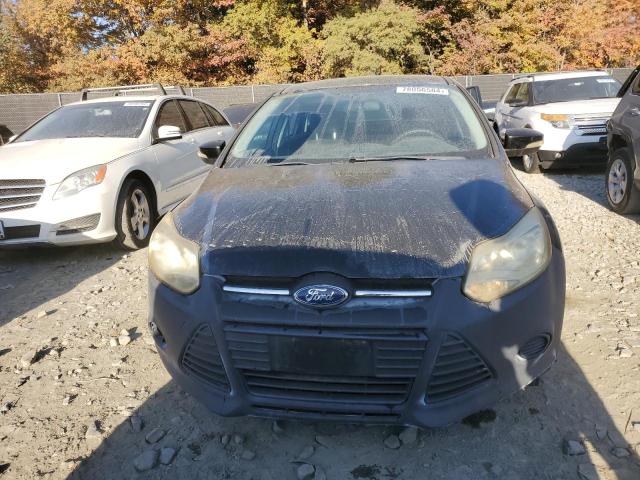 Photo 4 VIN: 1FADP3F29DL231609 - FORD FOCUS SE 