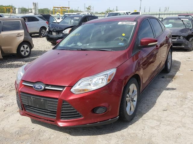 Photo 1 VIN: 1FADP3F29DL319270 - FORD FOCUS SE 