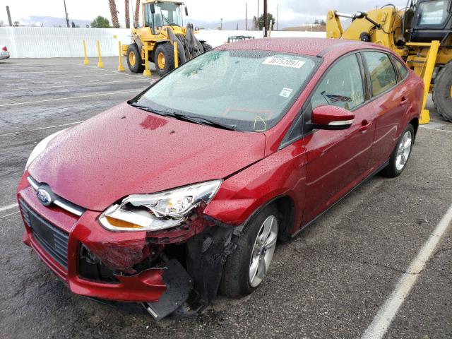 Photo 1 VIN: 1FADP3F29DL374253 - FORD FOCUS SE 