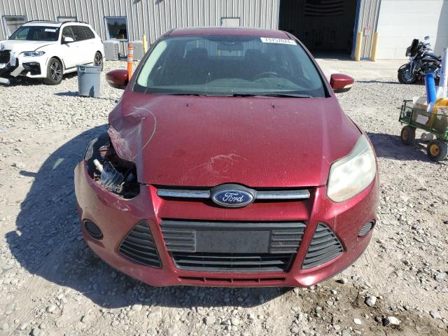 Photo 4 VIN: 1FADP3F29EL157402 - FORD FOCUS SE 