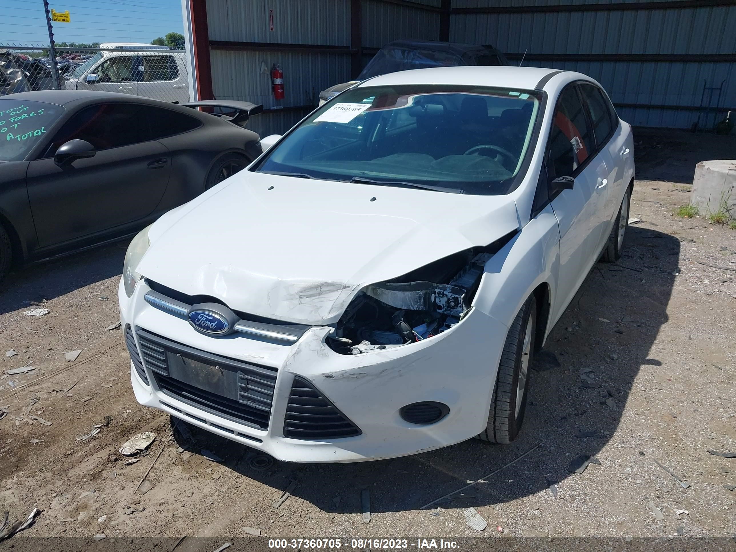 Photo 5 VIN: 1FADP3F29EL177679 - FORD FOCUS 