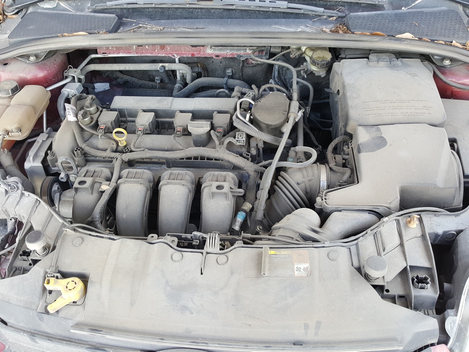 Photo 6 VIN: 1FADP3F29EL246886 - FORD FOCUS 