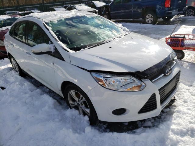 Photo 0 VIN: 1FADP3F29EL251067 - FORD FOCUS SE 