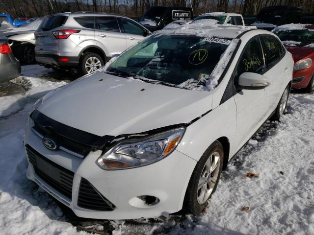 Photo 1 VIN: 1FADP3F29EL251067 - FORD FOCUS SE 