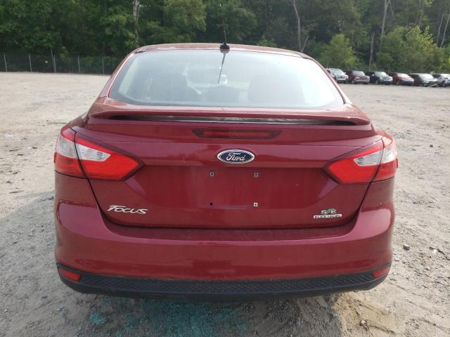 Photo 5 VIN: 1FADP3F29EL253241 - FORD FOCUS SE 