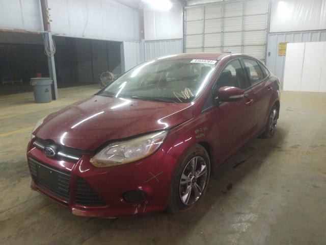 Photo 1 VIN: 1FADP3F29EL257788 - FORD FOCUS SE 