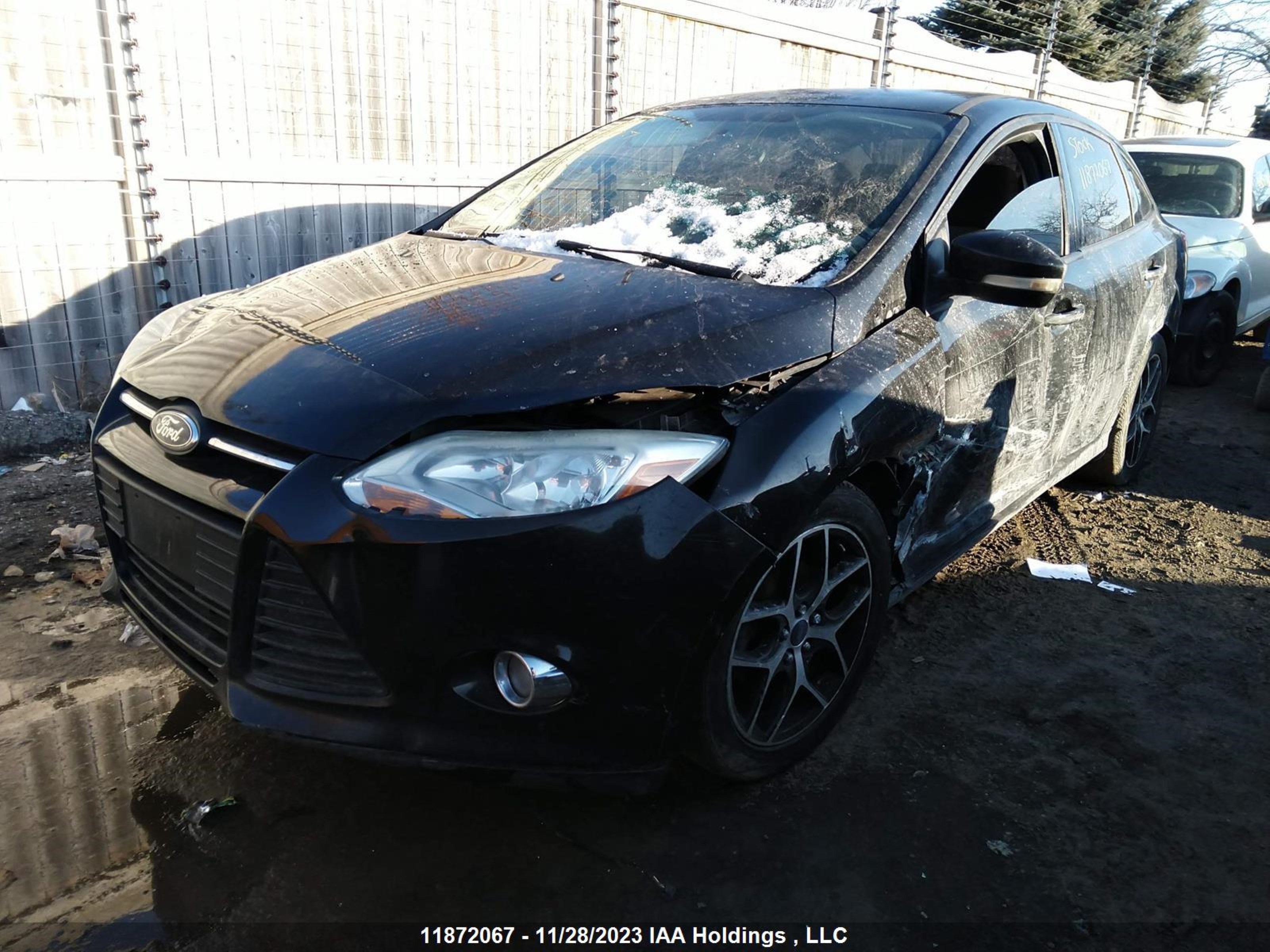 Photo 5 VIN: 1FADP3F29EL394956 - FORD FOCUS 