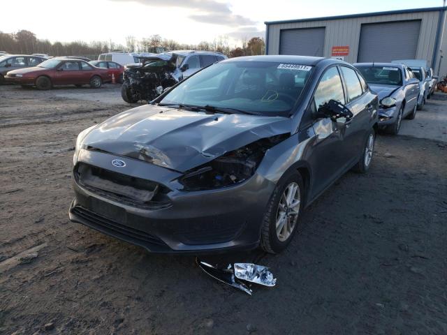 Photo 1 VIN: 1FADP3F29FL203392 - FORD FOCUS SE 