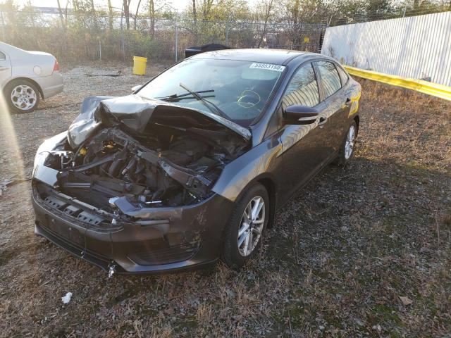 Photo 1 VIN: 1FADP3F29FL296012 - FORD FOCUS SE 