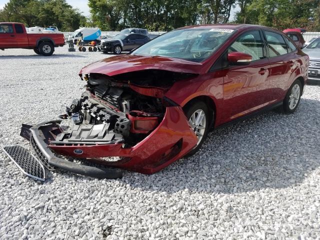 Photo 1 VIN: 1FADP3F29FL299766 - FORD FOCUS SE 