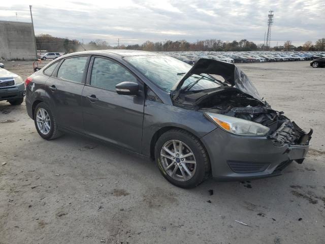 Photo 3 VIN: 1FADP3F29FL313021 - FORD FOCUS SE 