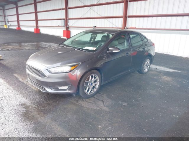 Photo 1 VIN: 1FADP3F29FL319448 - FORD FOCUS 