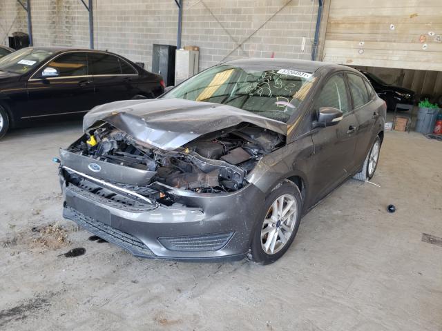 Photo 1 VIN: 1FADP3F29FL335570 - FORD FOCUS SE 