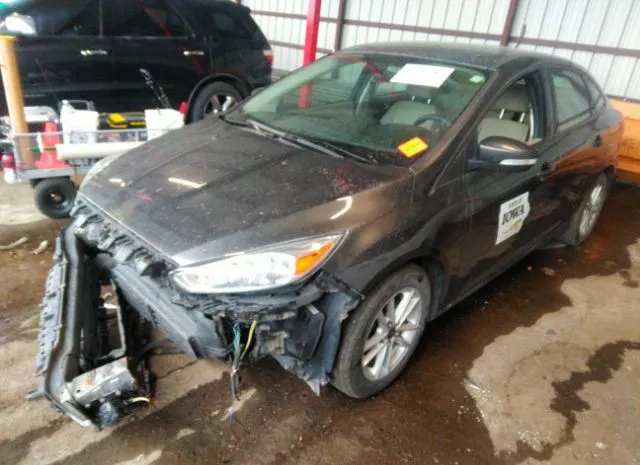 Photo 1 VIN: 1FADP3F29FL350490 - FORD FOCUS 