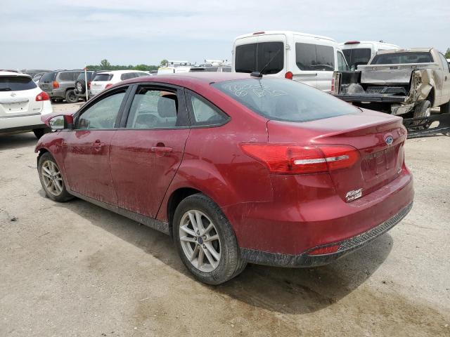 Photo 1 VIN: 1FADP3F29GL202258 - FORD FOCUS SE 