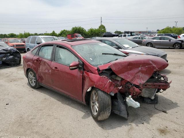 Photo 3 VIN: 1FADP3F29GL202258 - FORD FOCUS SE 