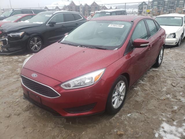 Photo 1 VIN: 1FADP3F29GL237205 - FORD FOCUS SE 