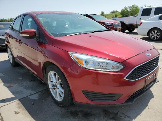 Photo 3 VIN: 1FADP3F29GL253632 - FORD FOCUS SE 