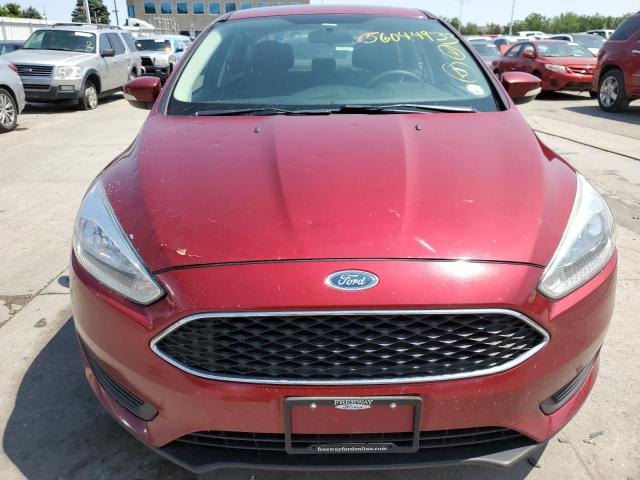 Photo 4 VIN: 1FADP3F29GL253632 - FORD FOCUS SE 