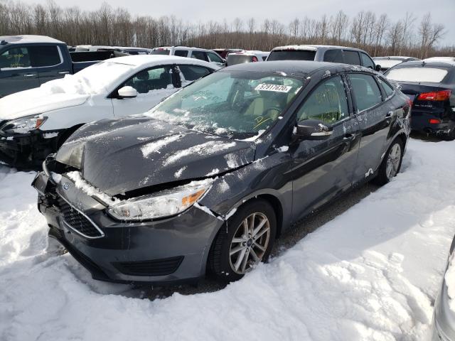 Photo 1 VIN: 1FADP3F29GL288252 - FORD FOCUS SE 