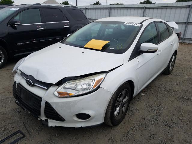 Photo 1 VIN: 1FADP3F2XDL185045 - FORD FOCUS SE 