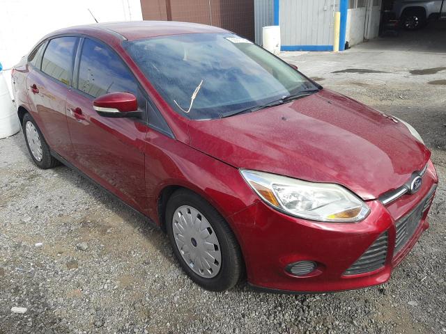 Photo 0 VIN: 1FADP3F2XDL235071 - FORD FOCUS SE 