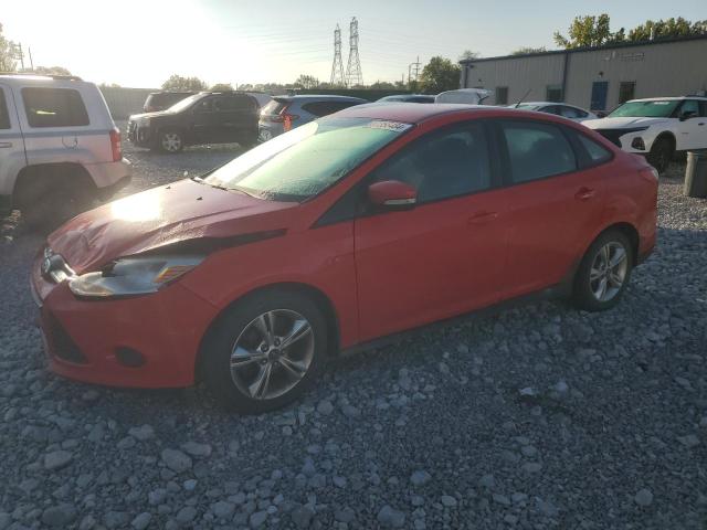 Photo 0 VIN: 1FADP3F2XDL283301 - FORD FOCUS SE 