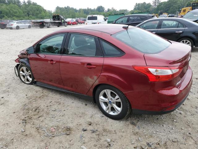 Photo 1 VIN: 1FADP3F2XEL134291 - FORD FOCUS SE 