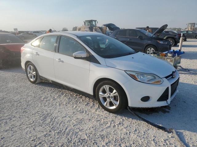 Photo 3 VIN: 1FADP3F2XEL213749 - FORD FOCUS SE 