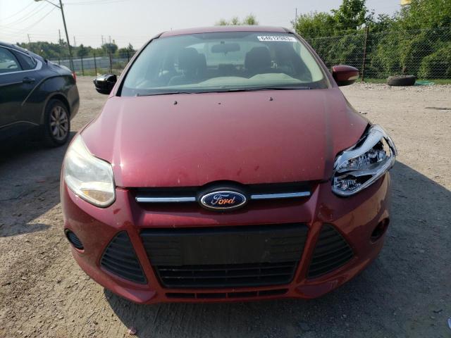 Photo 4 VIN: 1FADP3F2XEL283574 - FORD FOCUS SE 