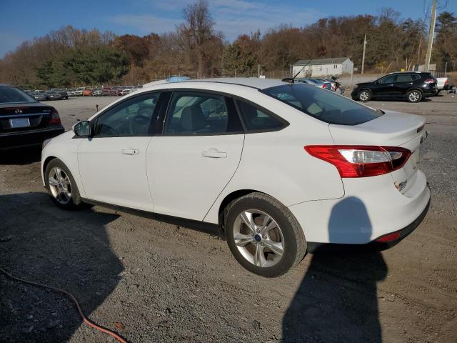 Photo 1 VIN: 1FADP3F2XEL338671 - FORD FOCUS 