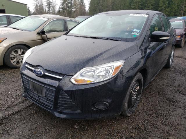 Photo 1 VIN: 1FADP3F2XEL390303 - FORD FOCUS SE 