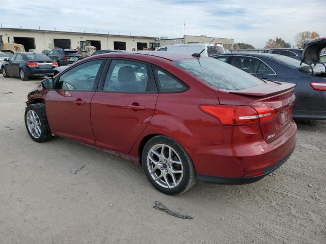 Photo 1 VIN: 1FADP3F2XFL207824 - FORD FOCUS 