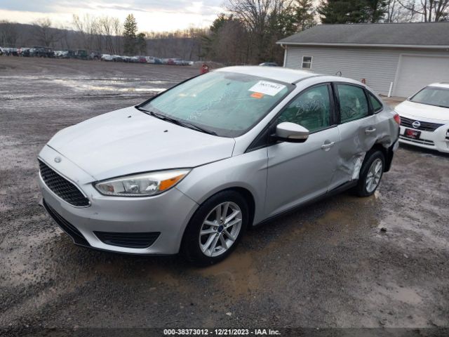 Photo 1 VIN: 1FADP3F2XFL229161 - FORD FOCUS 