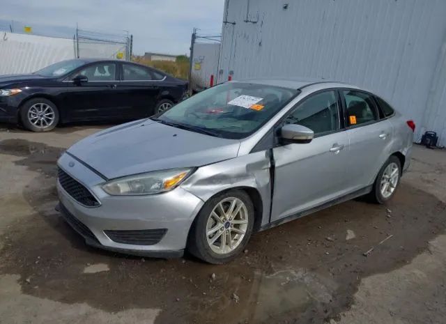 Photo 1 VIN: 1FADP3F2XFL231461 - FORD FOCUS 