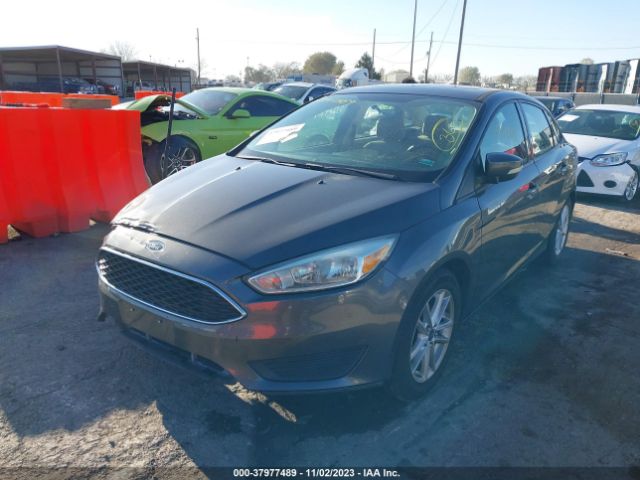 Photo 1 VIN: 1FADP3F2XFL293412 - FORD FOCUS 