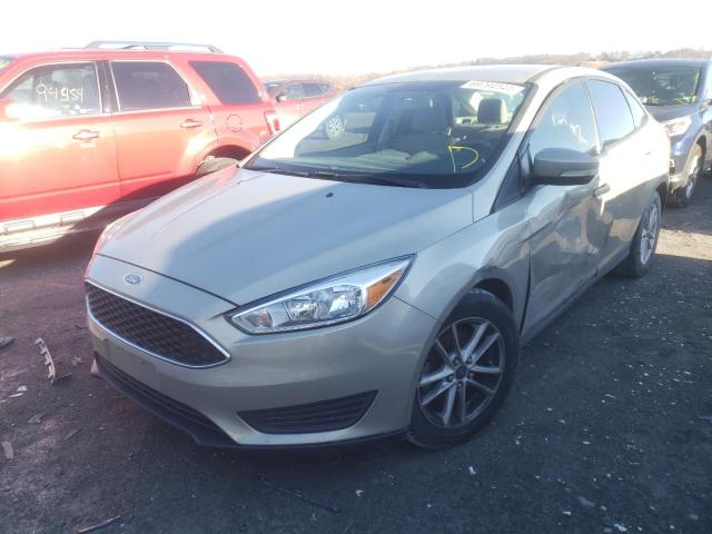 Photo 1 VIN: 1FADP3F2XFL306014 - FORD FOCUS SE 